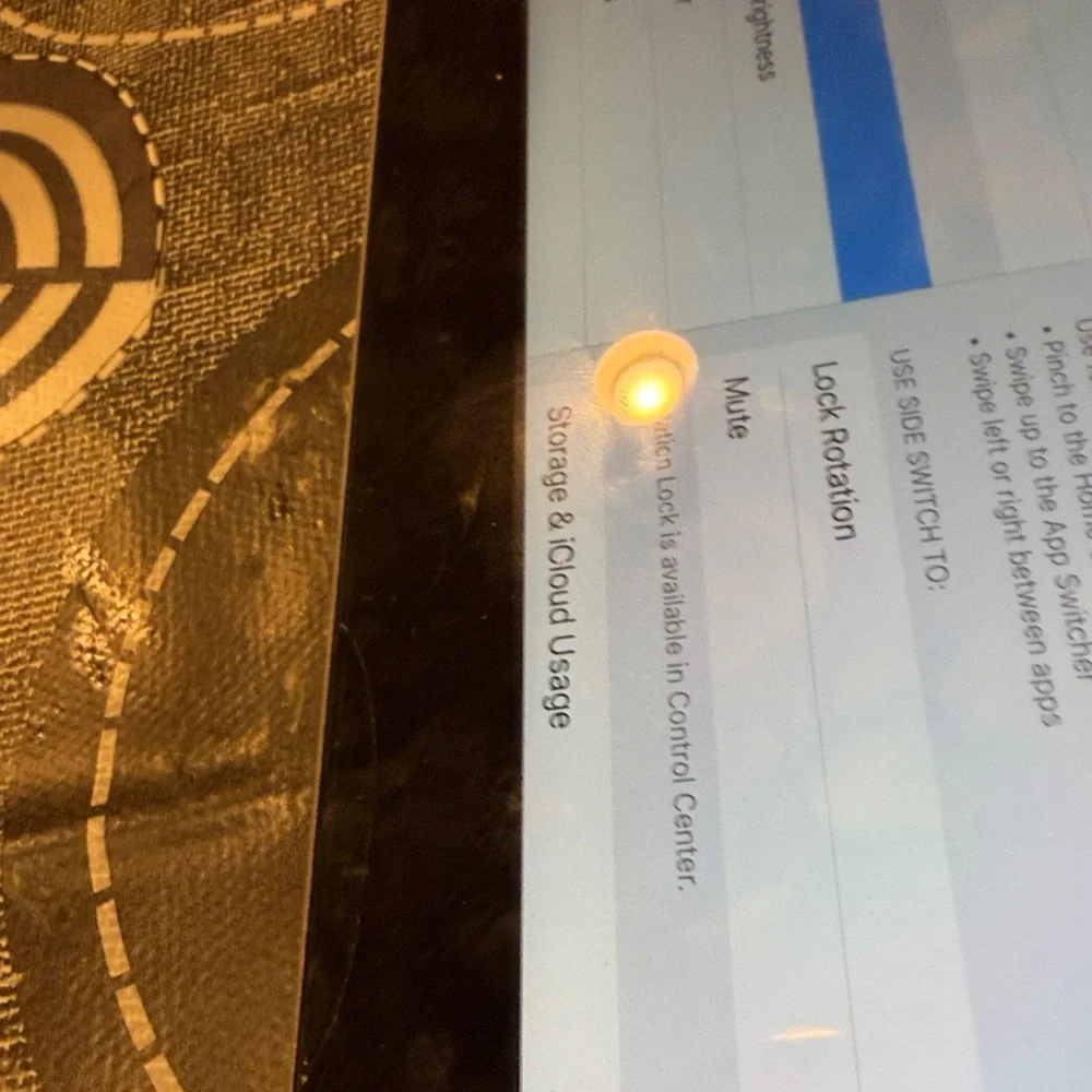 Apple iPad with silver 16gb
